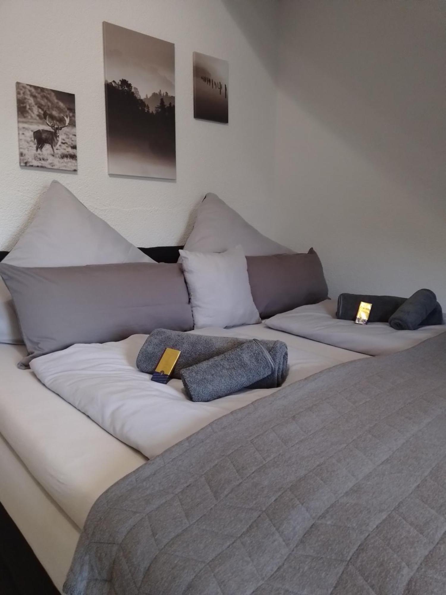 Apartment Teufelsstein, Wandern, Ausblick, Freilichtbuehne, Loreley, 3 Burgenblick, Rhein, 30m2 Terrasse, Grillen, Entspannen, Natur, Rodelbahn, Wlan, Parkplatz, Patersberg